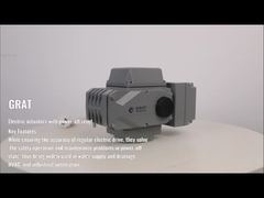 نوع الکترونیکی محرک الکتریکی هوشمند استیل ضد زنگ با ریست خاموش